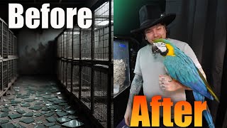These Are My WORST Parrot Rescue Cases...