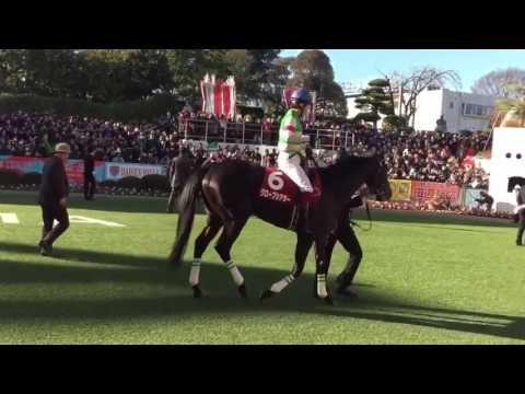 シーザリオ の子供 グローブシアター ホープフルS G2 パドック 2016 競馬 Keiba