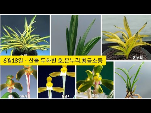 유튜브 썸네일