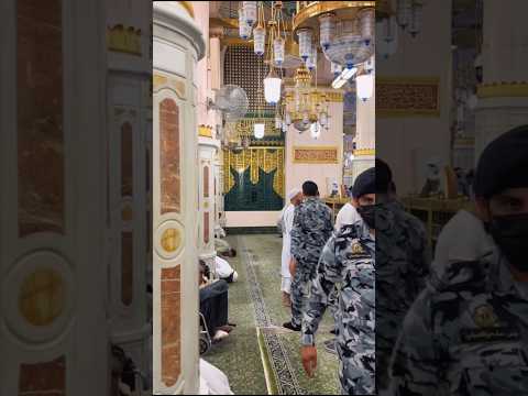 Rawdah Riyazul Jannah #riyazuljannah #rawdah #mohammadpbuh #masjidnabawi #madinah #makkah #viral