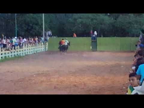 Coleo Puerto Carreño Vichada