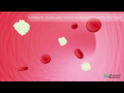 Opiate Overdose & Naloxone