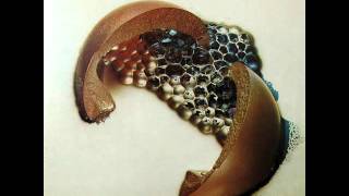 Cecil Taylor ~ Lono ~ Solo