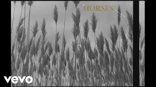 Horses Music Video