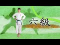 Shotokan Karate Kyu Grading Test Syllabus For Green Belt 6Kyu