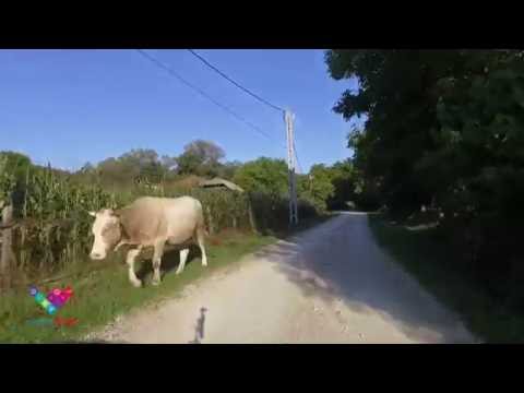 Drum Magura, Magura road, Valcea, Romania