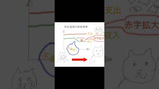 海外と日本の財政規律の違い　 #財務省解体デモ #消費税減税 #music #増税　#財務省　#物価高騰