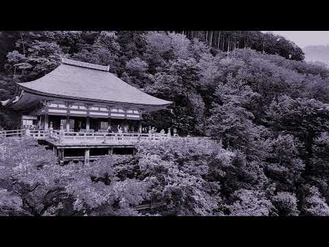 Malo X Alpha wann Type beat - "Kiyomizu"