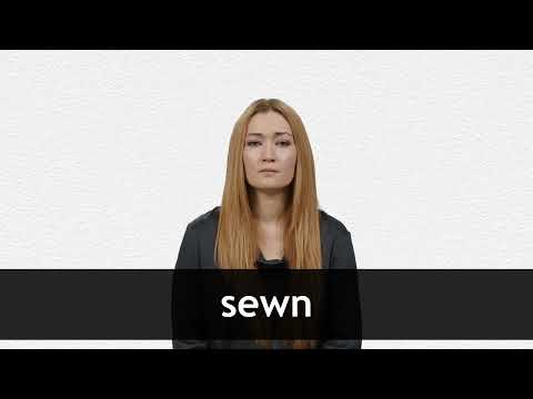 SEWN definition and meaning