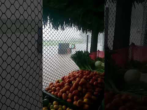 Fuerte aguacero Elorza 🇻🇪🇻🇪🇻🇪