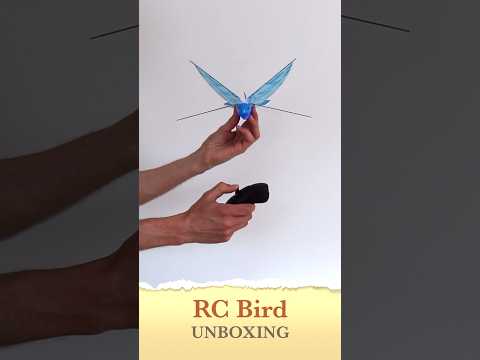 Micro RC Bird Unboxing