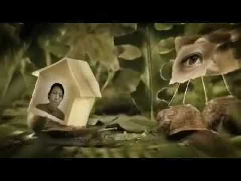 Video thumbnail for After the Rain