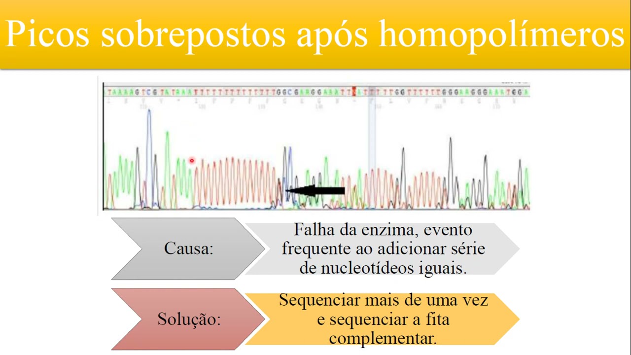 Sequenciamento do DNA: Erros no sequenciamento