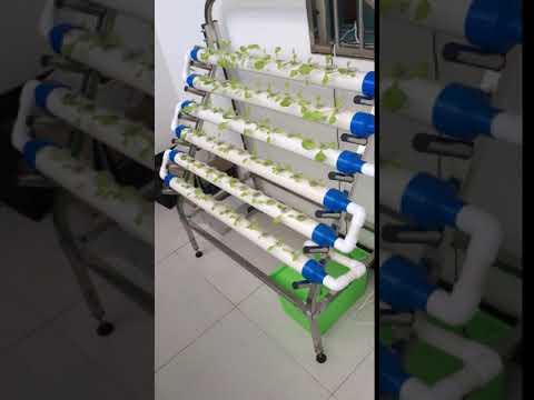 Stainless steel frame + pvc hydroponic system