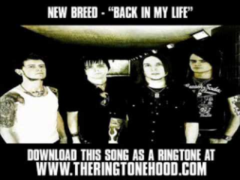 NEW BREED - "BACK IN MY LIFE" [ New Video + Lyrics + Download ]
