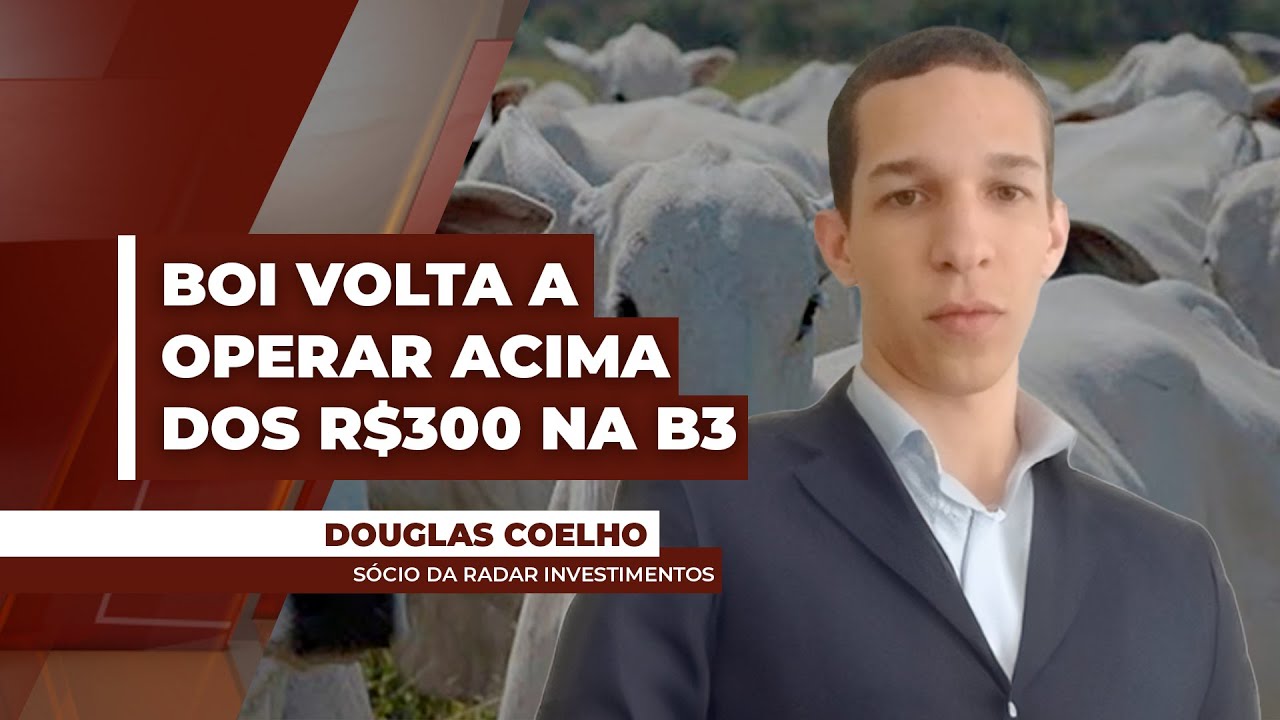 Preços do boi gordo iniciam semana acima dos R$ 300/@ na B3, sinalizando força da demanda ...