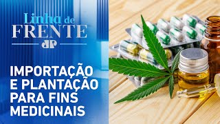 Anvisa deve criar regras para cultivo da cannabis