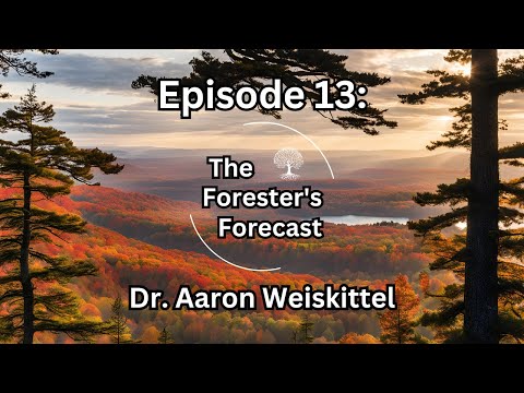 Episode 13: Dr. Aaron Weiskittel