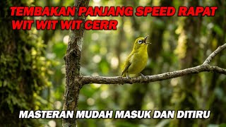 Download lagu PANCINGAN PLECI NEMBAK WIT WIT WIT CERR PANJANG, MASTERAN PALING MUDAH DITIRU mp3 Download lagu PANCINGAN PLECI NEMBAK WIT WIT WIT CERR PANJANG, MASTERAN PALING MUDAH DITIRU mp3