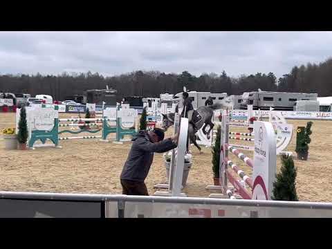 KENSINGTON (7yo Zirocco Blue) 1.04.22 Ranshofen 🇦🇹 - 1. Platz Youngster 125 cm