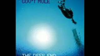 Gov&#39;t Mule - Life On The Outside
