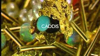 Artist Hubert Duprat  discussing his work