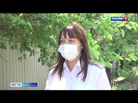 Управление Россельхознадзора проводит на территории Волгоградского региона мероприятия по выявлению карантинных объектов и предотвращению их распространения в садоводческом товариществе