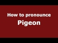 How to Pronounce Pigeon - PronounceNames.com