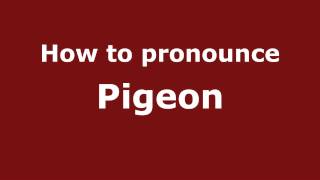How to pronounce Pigeon