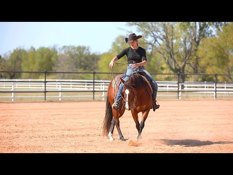 Starting the spin on a young horse