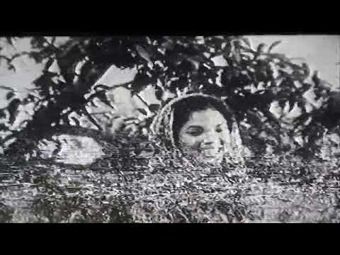 3 BUAH LAGU DARI FILEM "PERTARONGAN" (KUALITI KURANG MNEMUASKAN)