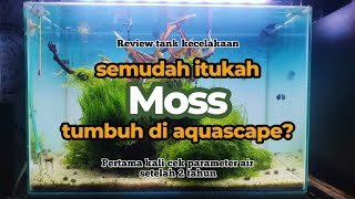 Download lagu MENANAM DAN MERAWAT MOSS AQUASCAPE || FLAME MOSS || JAVA MOSS || WEEPING MOSS mp3 Download lagu MENANAM DAN MERAWAT MOSS AQUASCAPE || FLAME MOSS || JAVA MOSS || WEEPING MOSS mp3