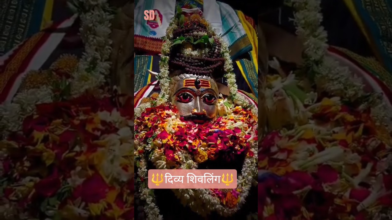 🔱भोलेनाथ का पावन शिवलिंग🙏🔱#mahadev #shivling#harharmahadev #shortsfeed #viralshorts