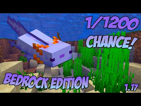DYI: Blue Axolotl Spawning - Minecraft Bedrock