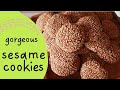 Amazing Sesame Cookies Extraordinary Taste Simple Recipe