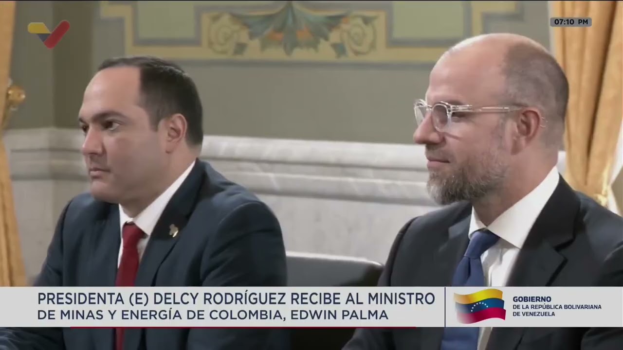 Delcy Rodríguez se reúne con el ministro de Minas y Energía de Colombia, Edwin Palma.