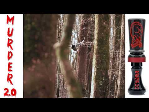 Murder 2.0 Soundfile from Elite Calls