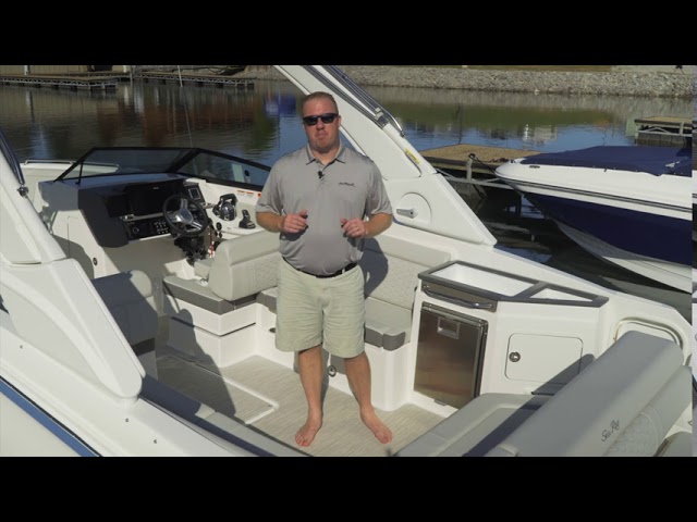 2025 Sea Ray SDX 290 Outboard Deck Boat