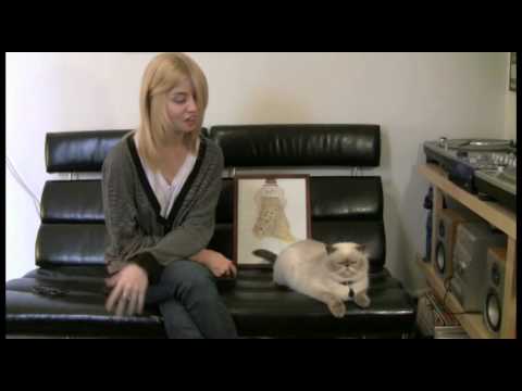 The Winterview with Allison Harvard