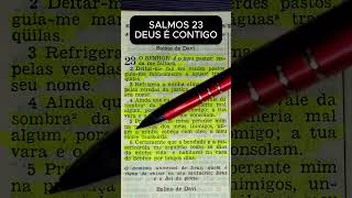 Salmos 23, Deus é Incrivel e Maravilhoso na sua Vida. #salmos #salmos23  #biblia #deus #jesus