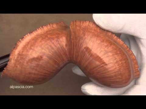 pipa Karin 002 - tobacco pipe