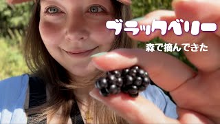 南ドイツで家族と過ごした日|食卓を囲む、なんでもない1日
