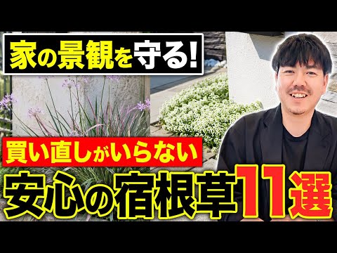 【撮影事例】LIXILショールーム収録の解説動画｜現場がなくても撮れるノウハウ発信のYouTubeの撮り方