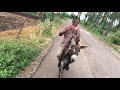 Riding a Foal (baby donkey) in an Indian Village, villagers enjoying #iphone13 #travel