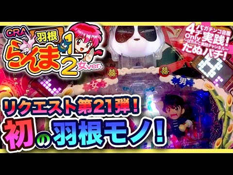 羽根らんま1/2の動画