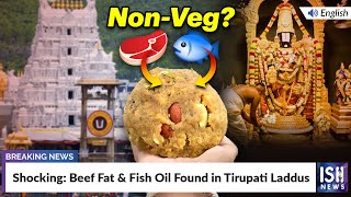 Shocking: Beef Fat and Fish Oil Found in Tirupati Laddus
