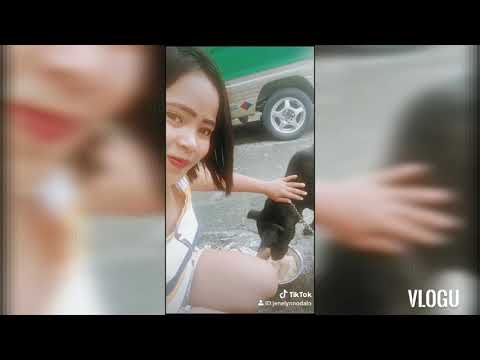 my bestfriend dog kimmy