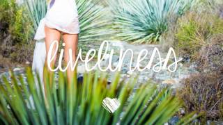 Stardust - Music Sounds Better With You (Lukas Grinys Remix)