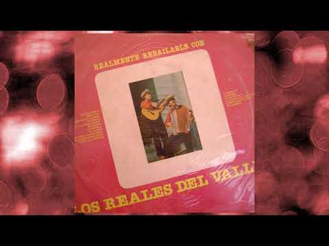 Los Reales del Valle - El Yacare del Pantano