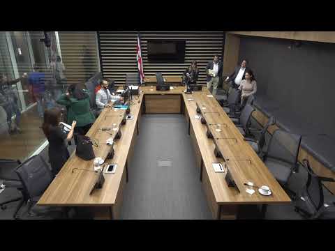 Comisión Especial de la Provincia de Puntarenas,15 octubre 2025